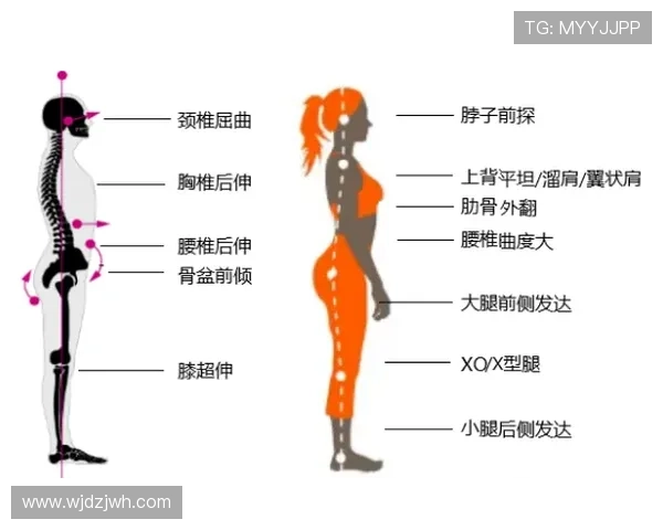 青少年脊柱健康守护行动健身动起来运动处方让预防成为第一道防线